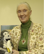 photo of Dr. Goodall and toy chimpanzee.